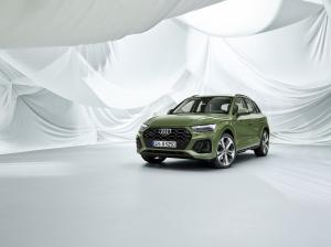 Audi Q5 40 TDI Quattro S-Line 2020 года  (WW)